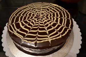 227659_1847279819003_865467_n